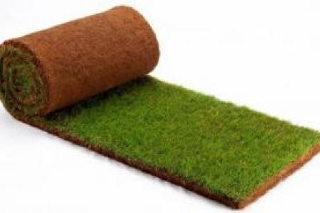 Lawn grass rolls sale in Aix en Provence