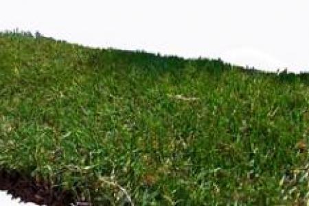 Gazon Bermuda Grass en plaques au meilleur prix Aix Marseille