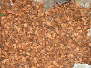 Paillage de noix de coco