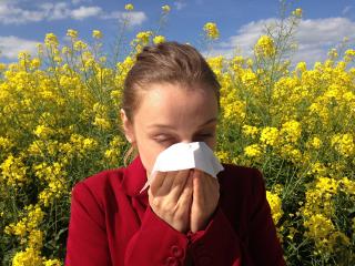 Les allergies aux Pollens