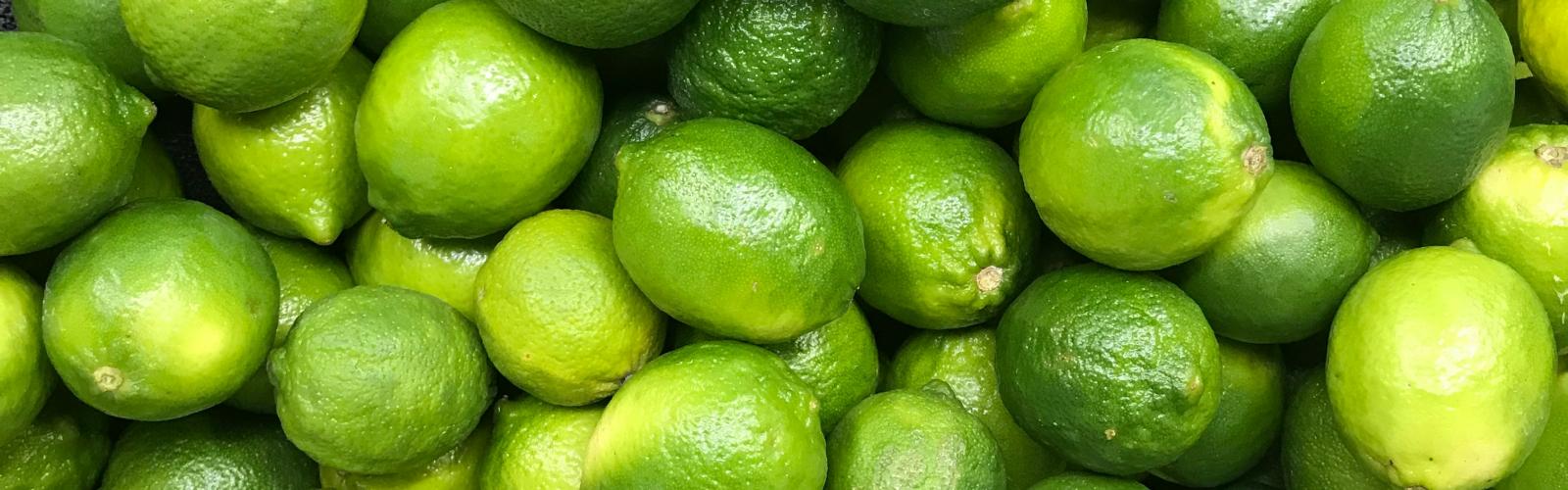 Limettier : Guide complet pour cultiver et savourer ses citrons verts acidulés