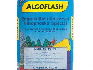 Algoflash