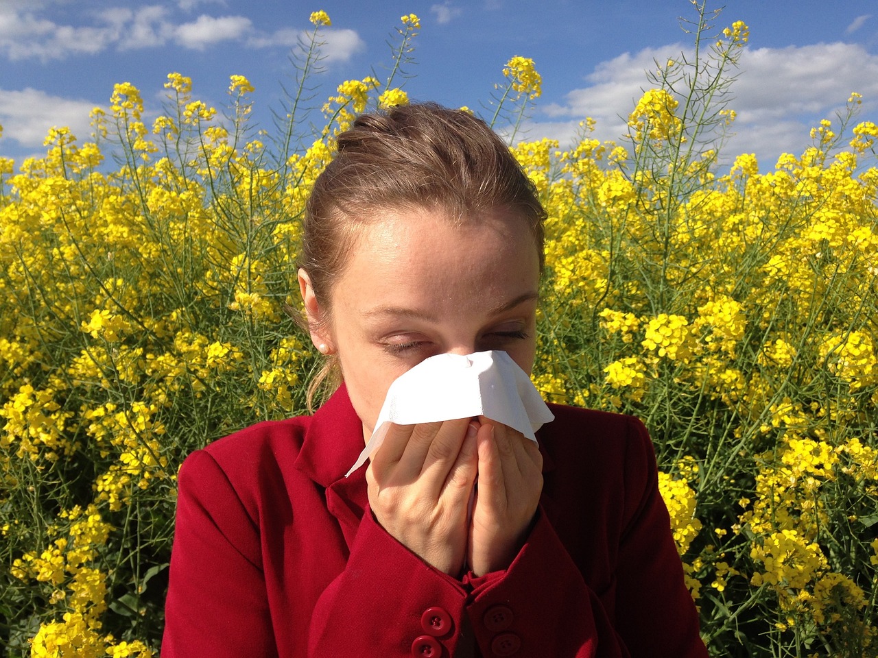 Allergies éternuement pollens 