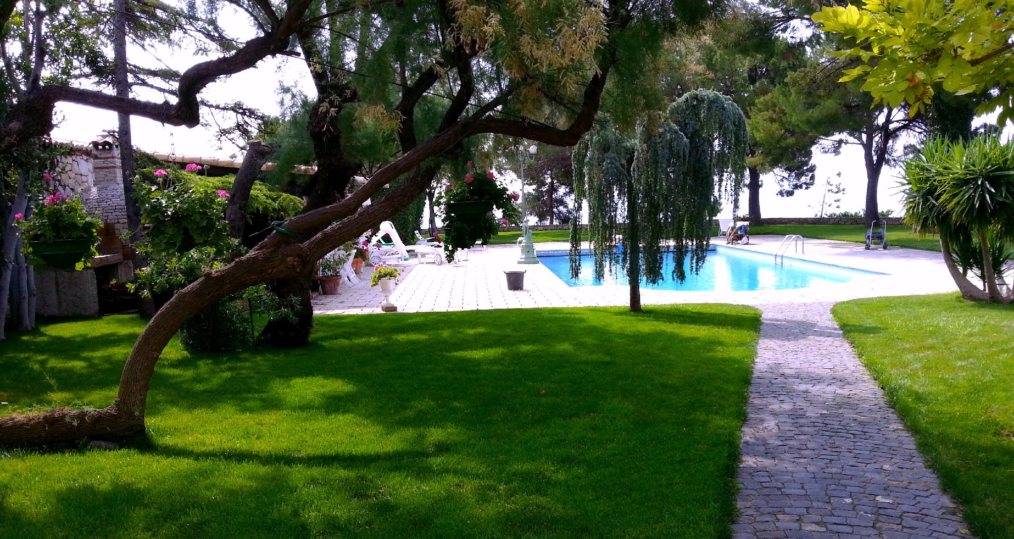 Gazon en plaque au bord de la piscine près d'Aix en Provence